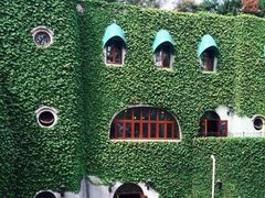 -三鹰之森吉卜力美术馆