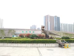 -陕西自然博物馆