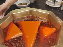 -蜀九香火锅(彩虹店)