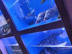 -享月汤皇·海鲜小火锅·聚会(曲江创意谷店)