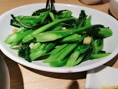 -南枝记