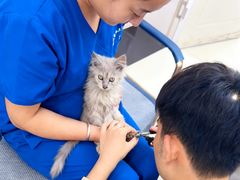 -派美特宠物医院·核磁CT·骨科肿瘤·疑难转诊(沈农禾丰店)
