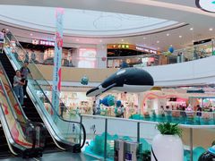 -上海颛桥万达广场