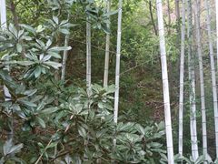 -故乡缘·香格里拉山庄(冷竹路店)