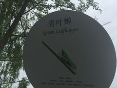 -白鹭湾湿地公园