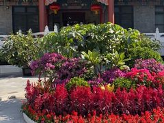 -北京协和医院(东单院区)
