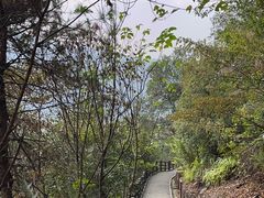 -羚羊峡古栈道森林公园
