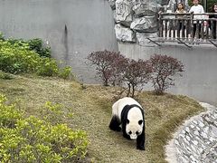 -柳州市动物园
