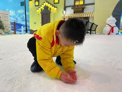 -世界之窗阿尔卑斯冰雪世界