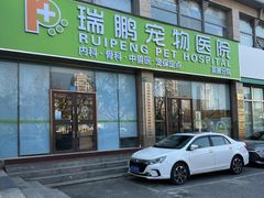 -瑞鹏宠物医院·内科·中兽医·骨科(苗圃店)