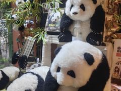-轩客会(熊猫书店)