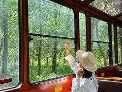 -合肥滨湖国家森林公园