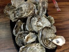 -土蚝·高压锅生蚝(百姓美食街店)