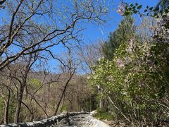 -阳台山自然风景区
