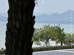 -深圳湾公园(南山区)