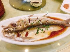 清蒸鲜白鱼-西新饭店(城中店)