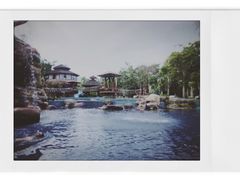 -绿光森林餐厅