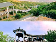 -大青山野生动物园