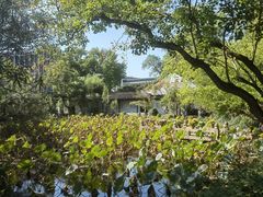 -上海醉白池公园