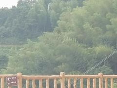 -紫鹊界梯田景区