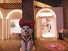 -Husky Go!哈士奇体验馆·宠物咖啡厅狗咖