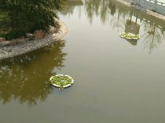 -兴隆文化园景区