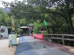 -王顺山国家森林公园