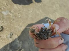 -北海金海湾红树林生态旅游区