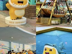 -海合安成都极地海洋公园