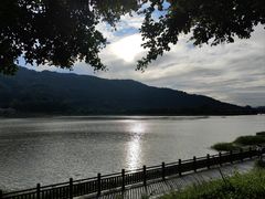 -风云岭森林公园