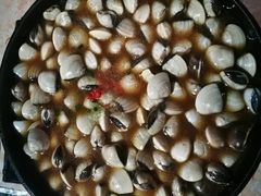 卜卜贝-顺德哥卜卜贝(旗舰店)