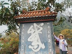 -靖西鹅泉风景区