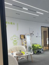 -凡碧诗毛孔清洁收细