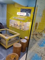 -神奇动物撸宠馆·羊驼·小浣熊·异宠(豫园店)