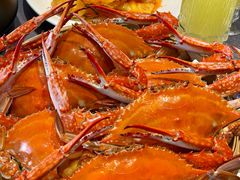 -连鹭海鲜·海肠捞饭·欢聚宴请(星海店)