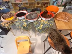 -平行世界·猫咖(首经贸店)