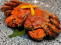 熟醉蟹-新荣记(南京西路店)