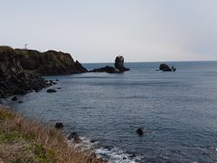 -涉地可支