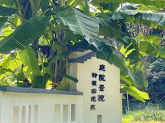 -天鹿湖森林公园