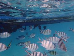 -蓝湾海滩