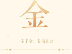 -金光大道养生馆(东方路旗舰店)