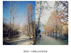 -白水寺森林公园