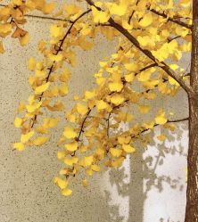 -爱的化妆工作室(雅地天际店)