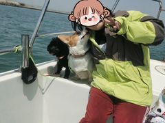 -日照世帆赛基地