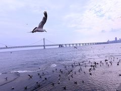 -星海广场