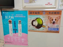 -康旭宠物医院(郑州总院)