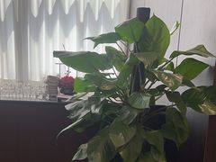 -聚宾楼·烤鸭·家宴(科技三路店)