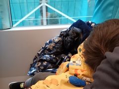 -龙阳路磁悬浮列车总站-停车场