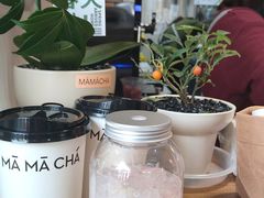 -MĀMĀCHÁ妈妈茶