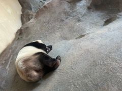 -宁波野生动物园